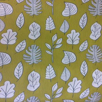 Biscayne - Honey Dew Oil Cloth