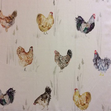 Chook Chook - Cream